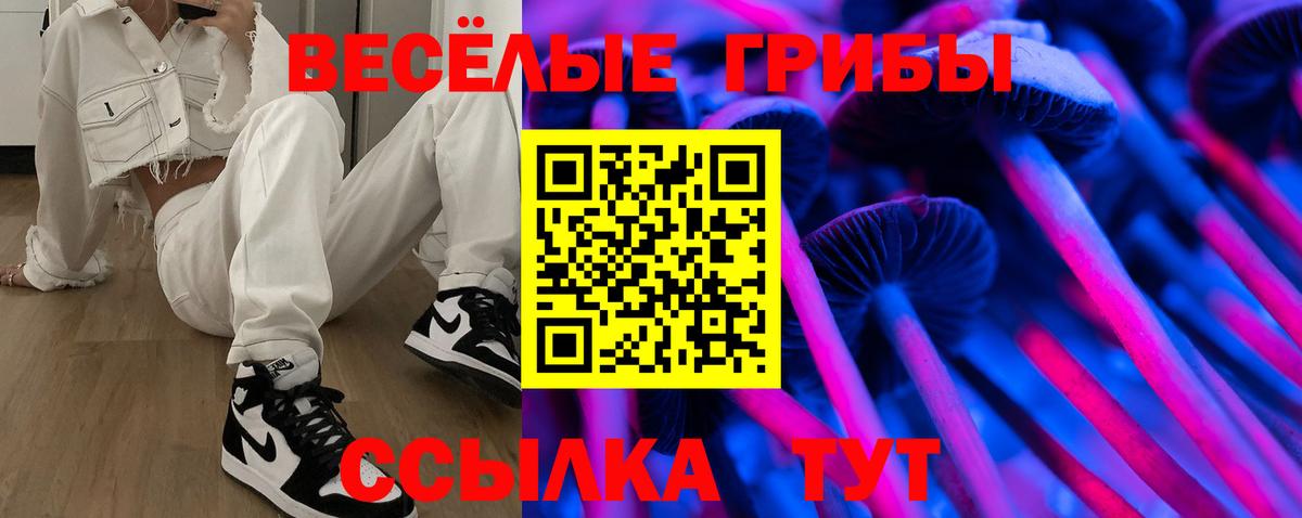 Галлюциногенные грибы Psilocybe  Вход с VPN  Корсаков 